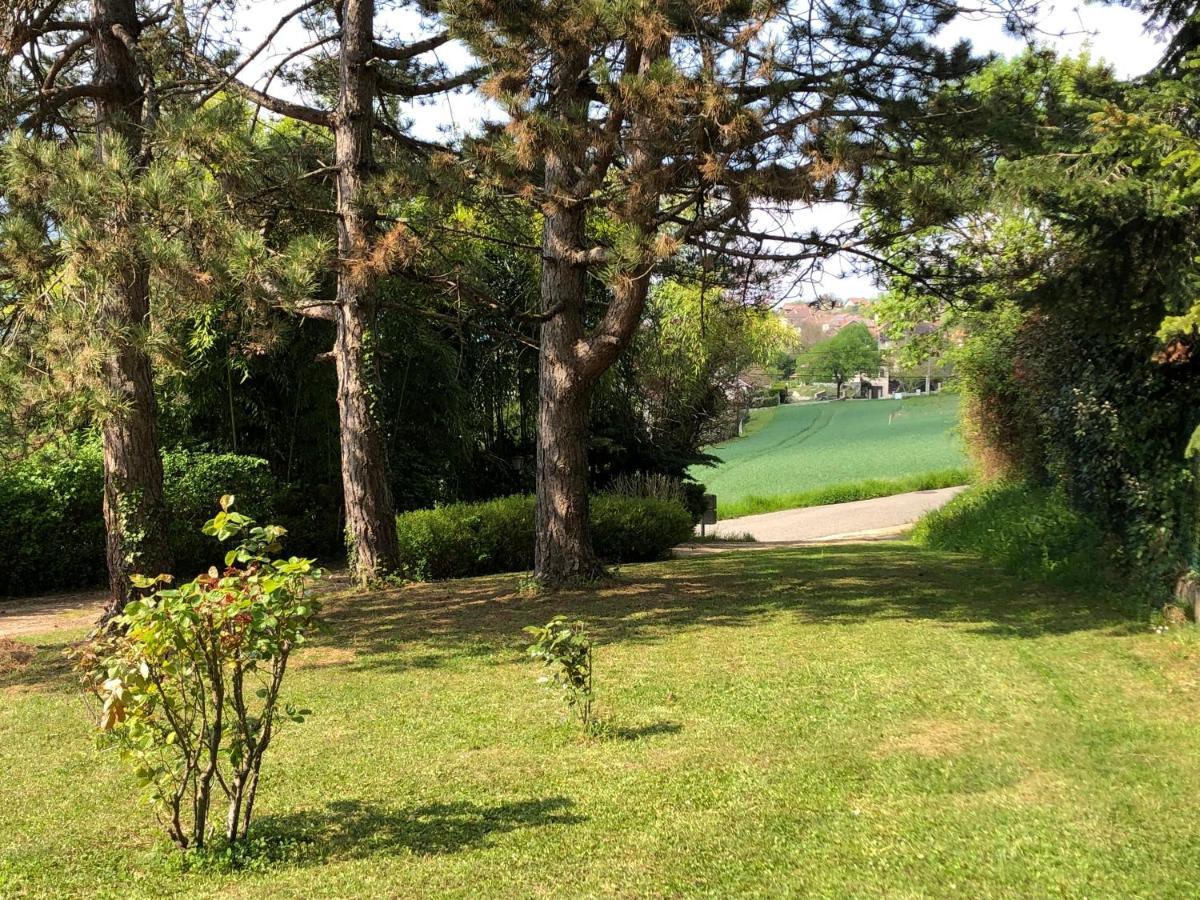 Maison De Lilie Villa Chindrieux Eksteriør bilde